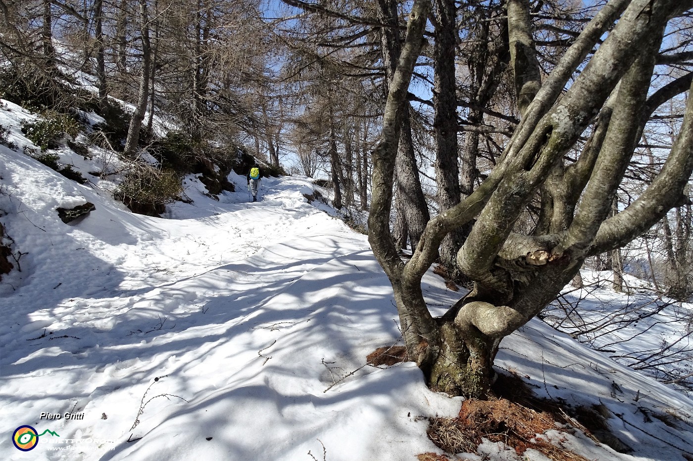 27 Fondo ora ben innevato.JPG